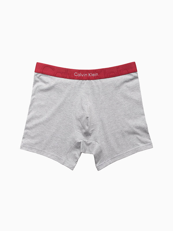 Calvin Klein Monolith Gray Boxer Briefs