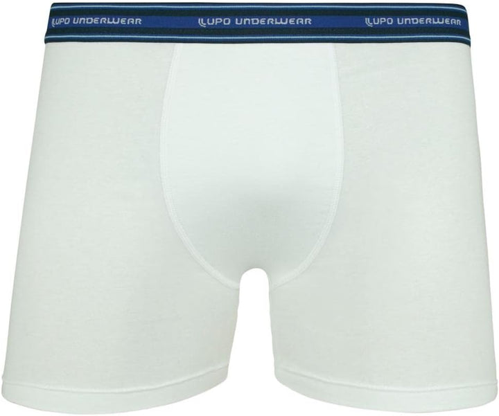 Kit 10 Cuecas Boxer Lupo Sortido