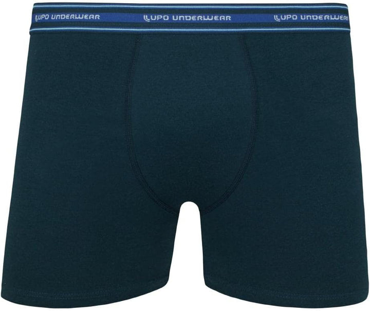 Kit 10 Cuecas Boxer Lupo Sortido