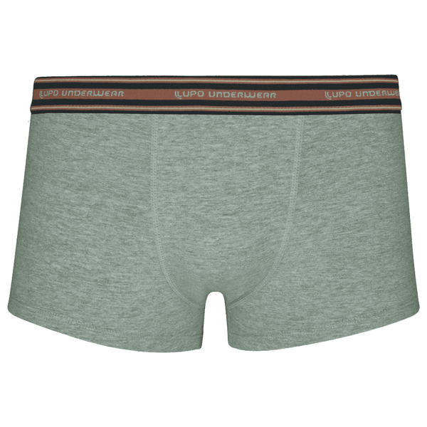 Cueca Sunga Lupo Comfort 2 Algodão Cinza Mescla