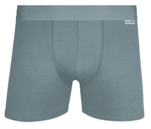 Cueca Boxer Lupo Sample Touch Algodão Mineral